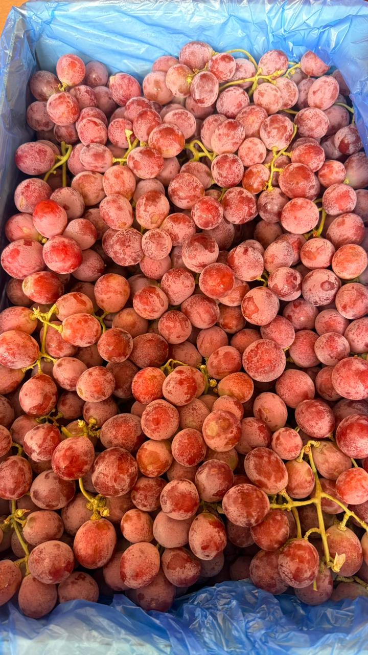 Produk Lush Daily #108