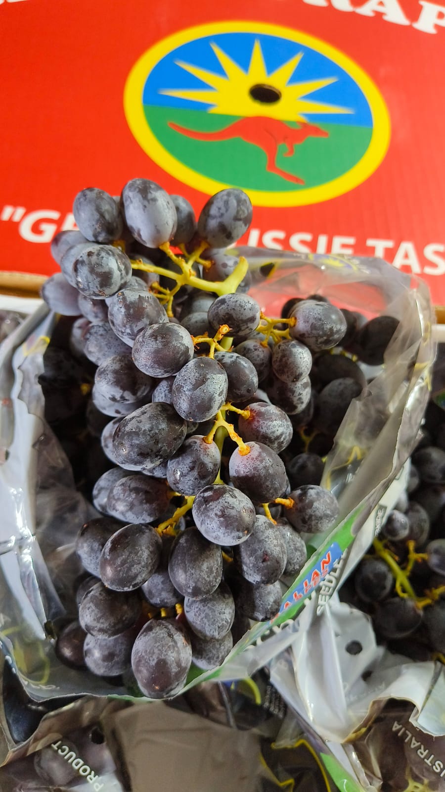 Produk Lush Daily #3