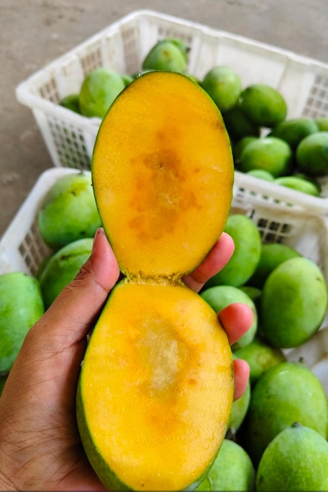 Produk Lush Daily #4