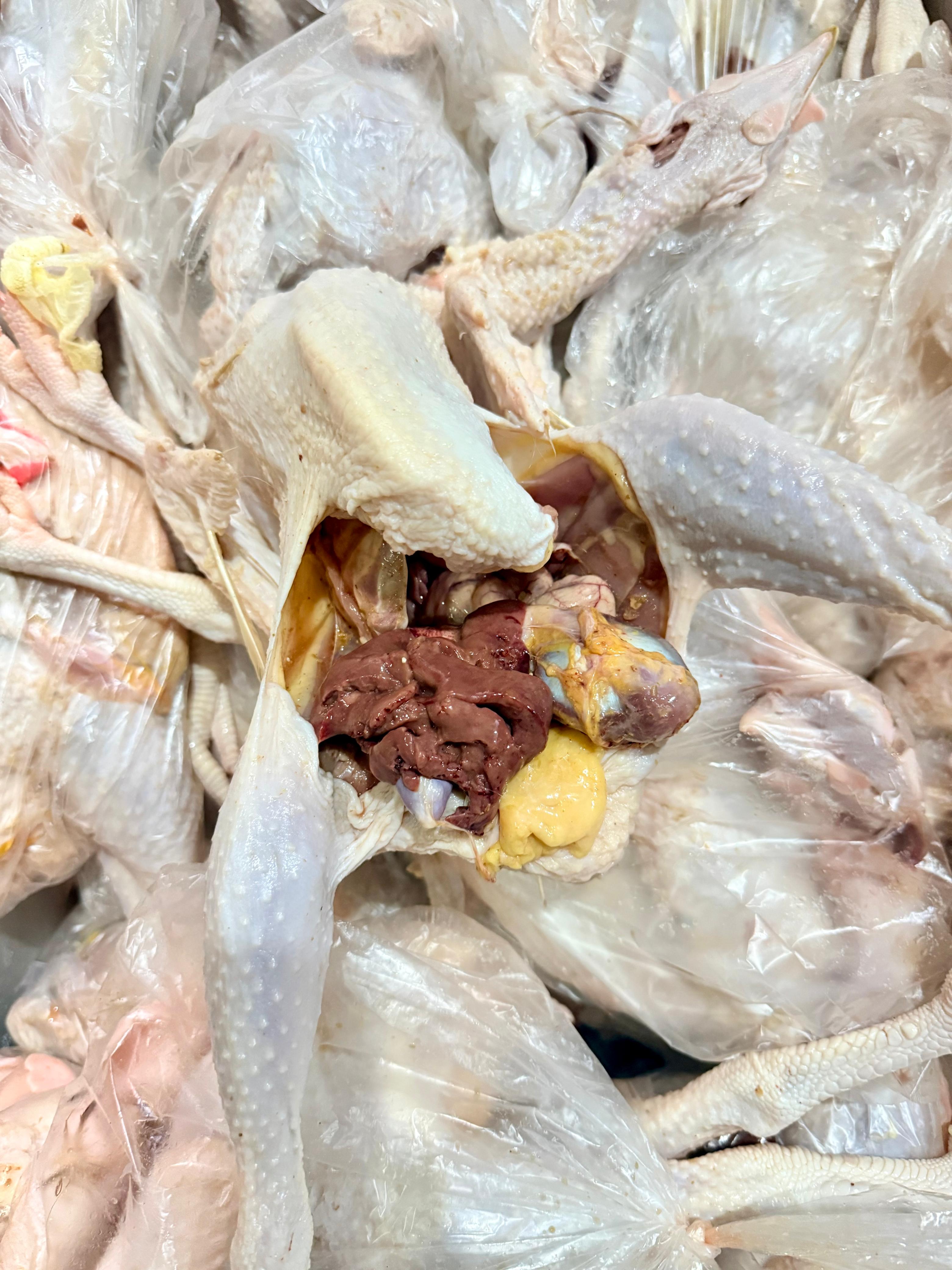 Produk Lush Daily #63