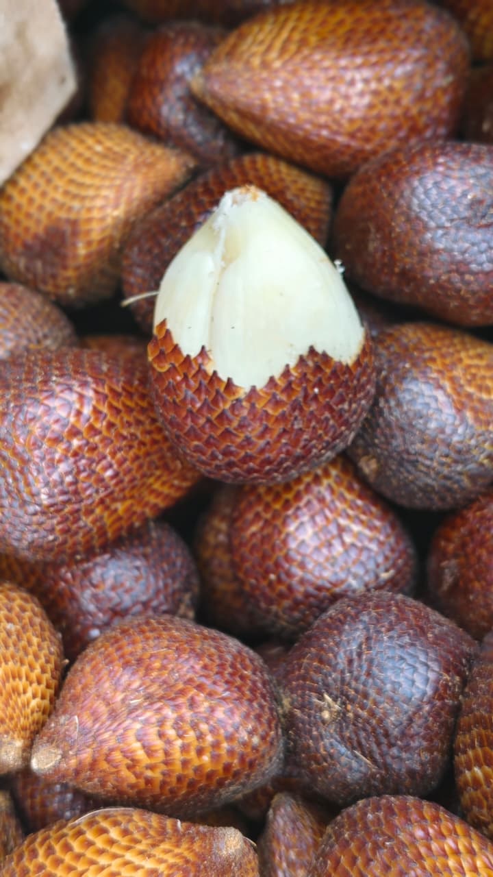 Produk Lush Daily #99